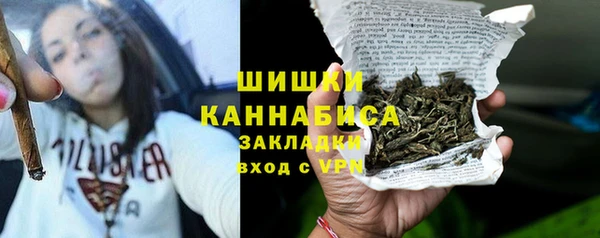 амф Пестово