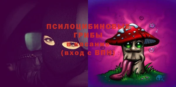 экстази Переславль-Залесский