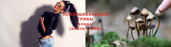 гашиш Пересвет