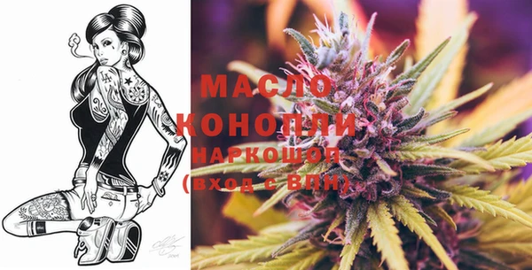 амф Пестово