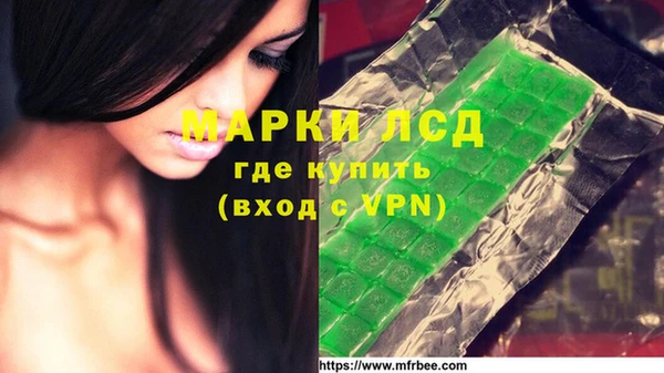 амф Пестово