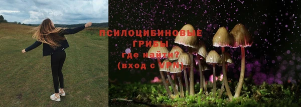гашиш Пересвет