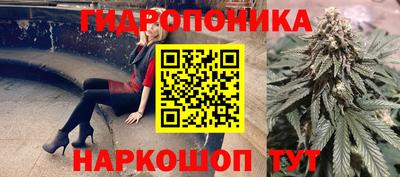 наркотики Берёзовский