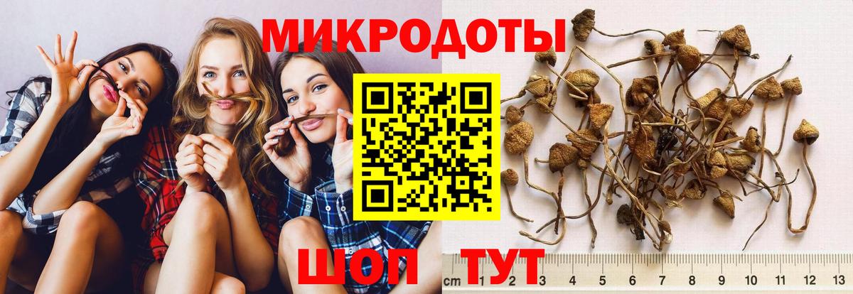 Ижевск  Псилоцибиновые грибы MAGIC MUSHROOMS  как найти закладки  Вход с VPN 