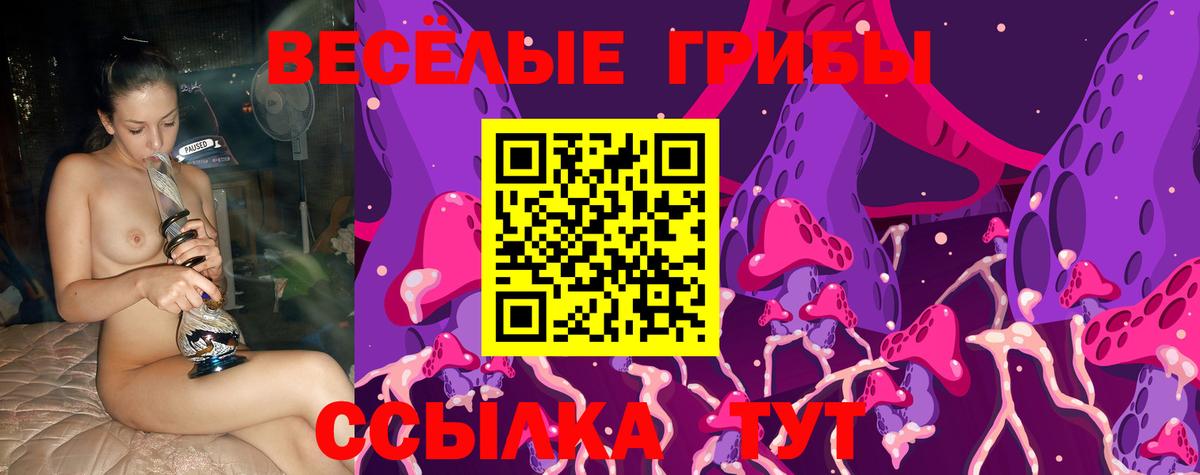 Галлюциногенные грибы прущие грибы Ижевск