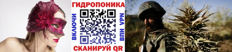 где купить наркоту  Ижевск  Канабис Amnesia 