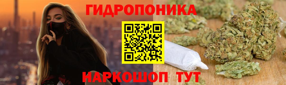 Бошки Шишки конопля  Ижевск  Бошки Шишки THC 21% 